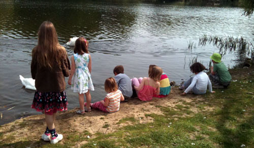 River A group of children watching swans on a river.